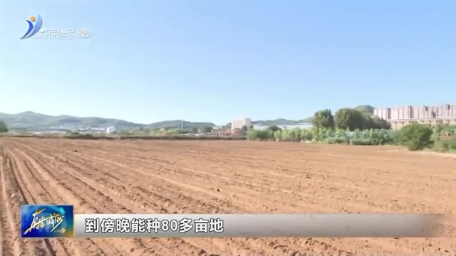 不误农时忙秋种 小麦播种正当时【威海广电讯】