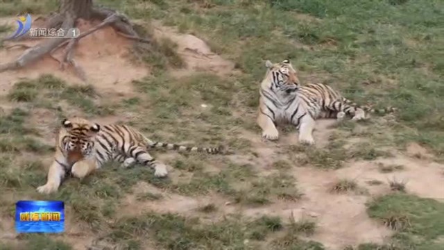 文明旅行好风景 假期出行欢乐多【威海广电讯】