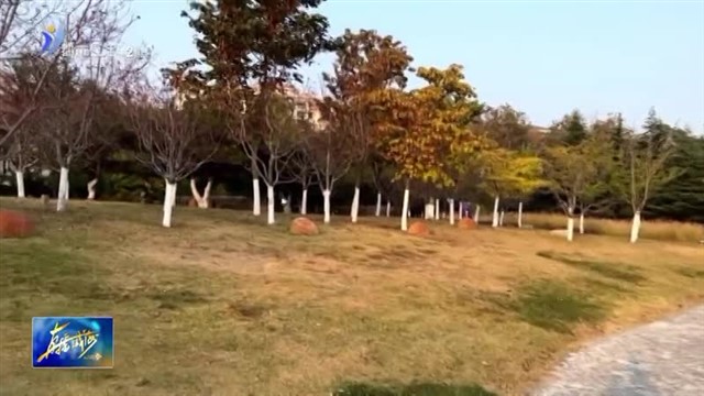 落叶缓扫 留住秋意浪漫【威海广电讯】