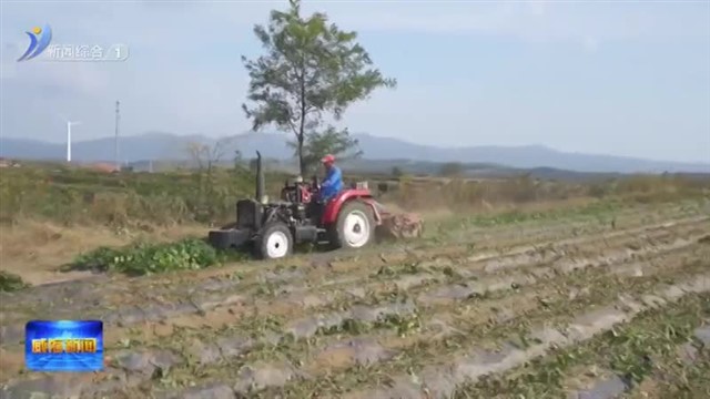 我市“三秋”工作有序开展 秋收超过九成【威海广电讯】