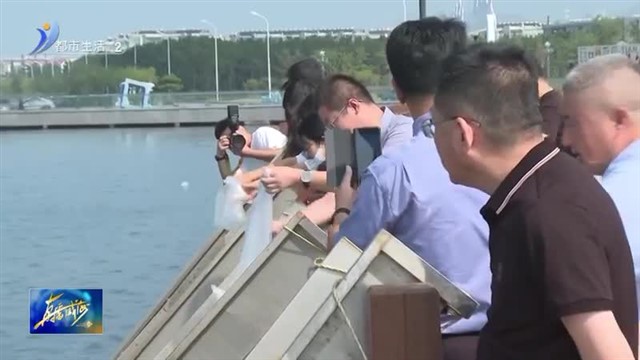 满意在检察 “益”起守护绿水青山【威海广电讯】