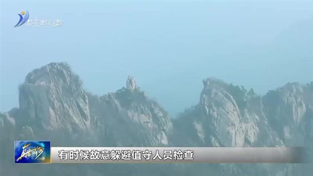 阳光问政对话林业局：上山游玩应自觉遵守检查登记【威海广电讯】