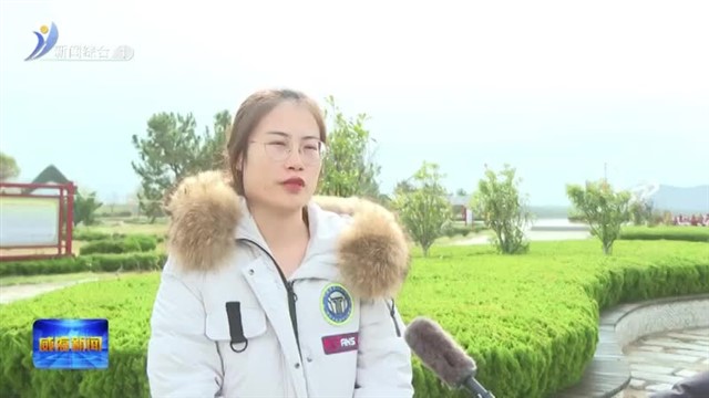 荣成市：优化湿地生态 为大天鹅打造安全舒适栖息环境【威海广电讯】