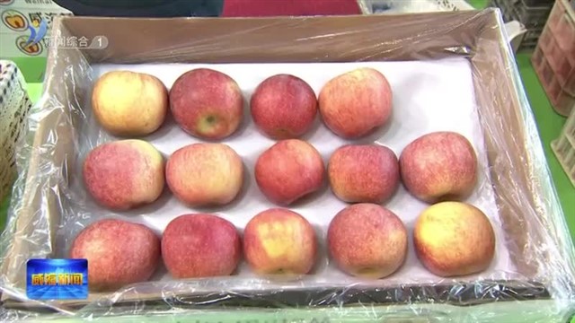 2023年威海市知名农产品展暨苹果擂台赛举行 孔凡萍参观展会并巡展【威海广电讯】