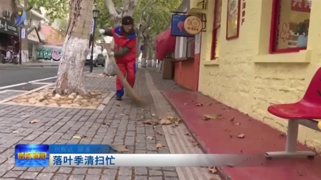 环翠区：落叶季清扫忙【威海广电讯】