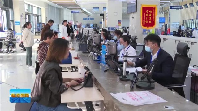 临港新闻2023-11-11