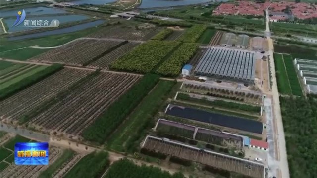 乡村振兴乳山样板交出满意答卷【威海广电讯】