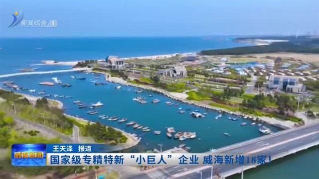 国家级专精特新“小巨人”企业 威海新增18家！【威海广电讯】