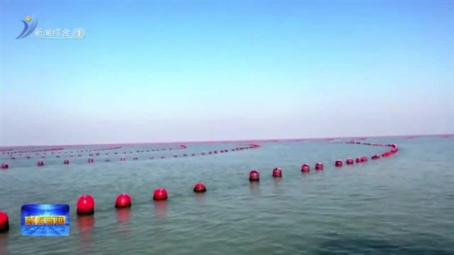 2023年“冬游乳山 畅品牡蛎”旅游季 暨第八届乳山牡蛎文化节启动【威海广电讯】