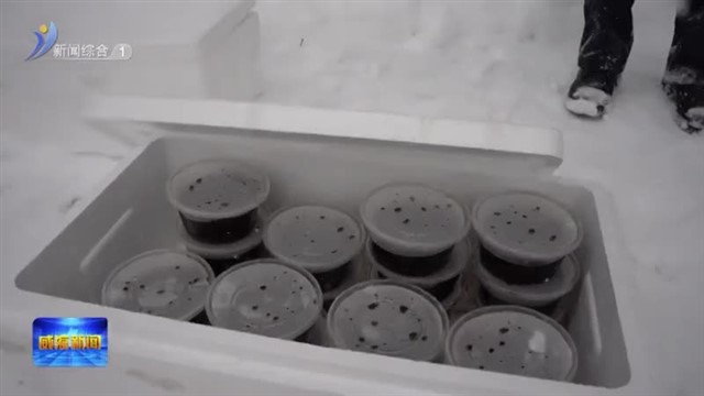 国网威海供电公司：雪天送温暖 姜汤暖胃又暖心【威海广电讯】