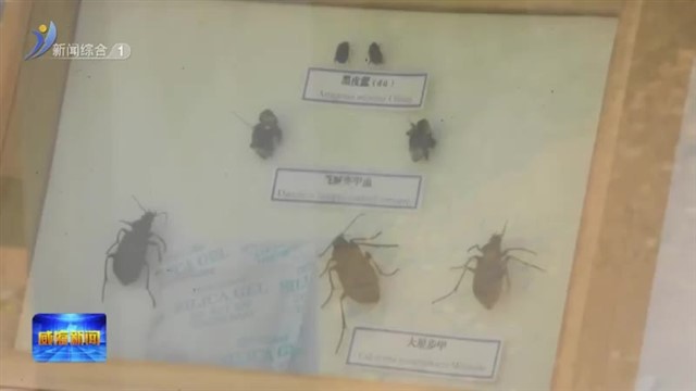 家门口的小游园 科普休闲两不误【威海广电讯】