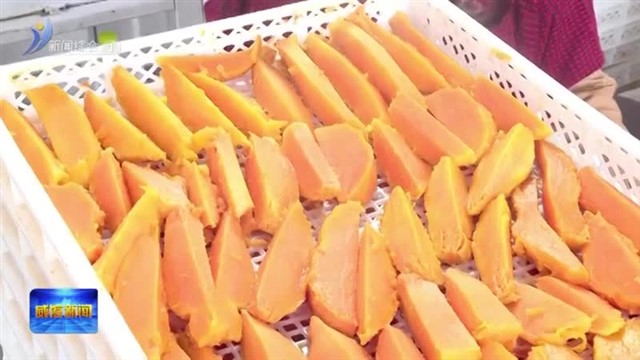 双寺夼村：地瓜产业链 连起致富路【威海广电讯】