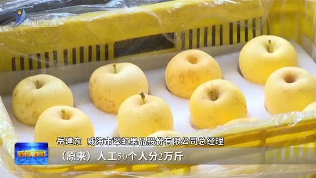 从会种到“慧种”苹果【威海广电讯】