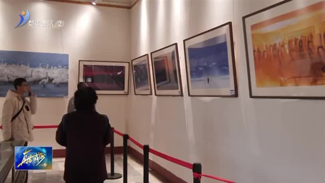 荣成大天鹅“畅游”趵突泉 24幅摄影作品受游客称赞【威海广电讯】