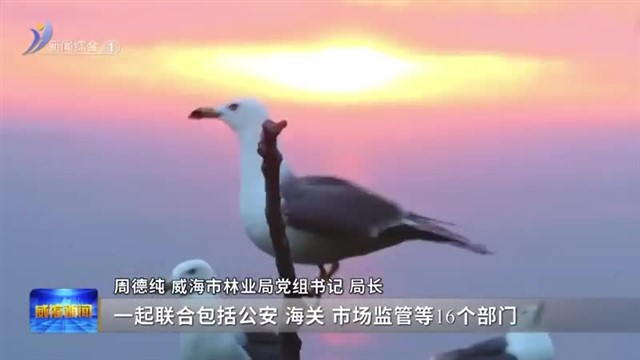 权威发布 共筑和谐生态环境 全年救助野生动物354只【威海广电讯】