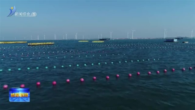 权威发布 “1区3带14群” 威海海洋牧场发展规划出炉【威海广电讯】