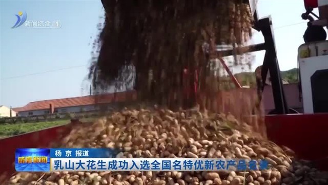 乳山大花生成功入选全国名特优新农产品名录【威海广电讯】
