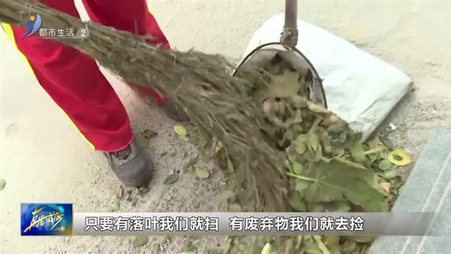 冷冬 这抹橘黄最暖心【威海广电讯】