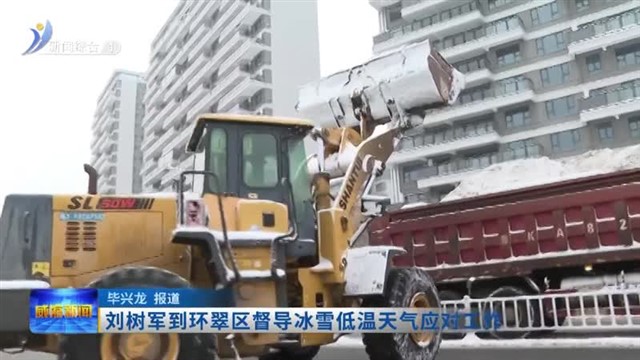 刘树军到环翠区督导冰雪低温天气应对工作【威海广电讯】