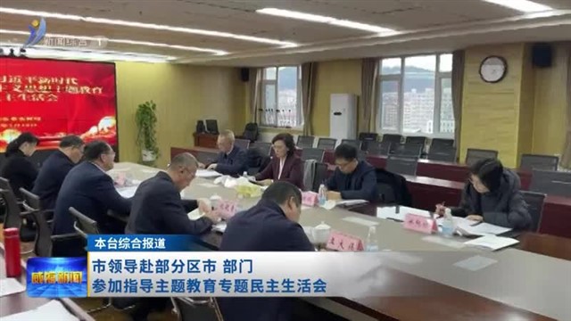 市领导赴部分区市、部门参加指导主题教育专题民主生活会【威海广电讯】