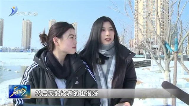 冬季旅游不知道去哪玩？ 那香海景区多点发力让冬游“嗨”起来【威海广电讯】