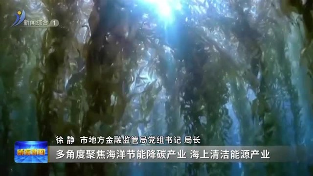 权威发布：我市一批先行先试绿色金融改革创新成果落地【威海广电讯】