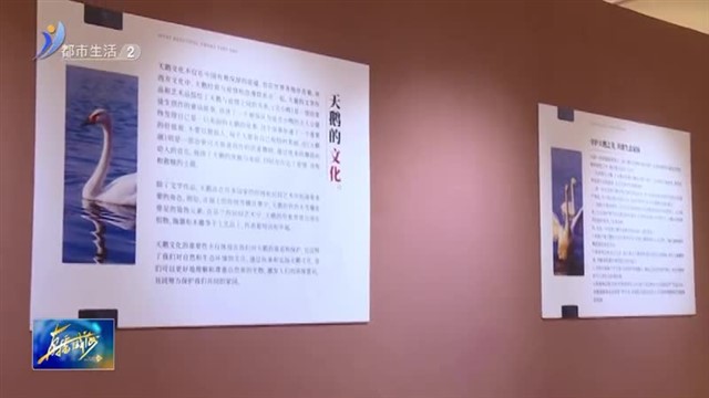 2024年那香海第一届“天鹅・泛 ” 国际艺术季影像设计展开展【威海广电讯】