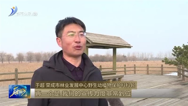生态环境持续向好 珍稀动物频频“出镜”【威海广电讯】