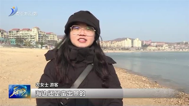 看海、踏浪、喂海鸥……来半月湾打卡吧【威海广电讯】