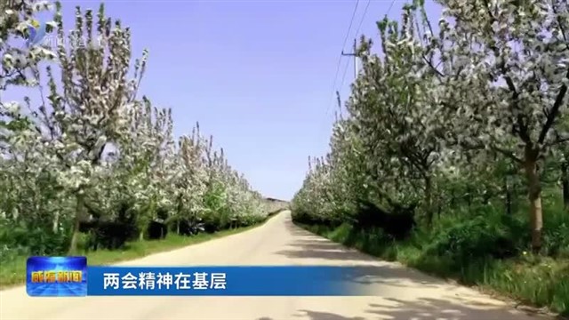 激发乡村振兴新活力 【威海广电讯】