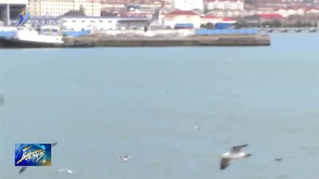 春节假期过半 旅游热潮持续火热【威海广电讯】