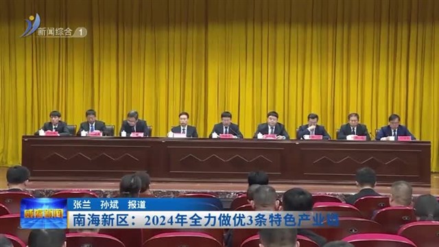 南海新区：2024年全力做优3条特色产业链【威海广电讯】