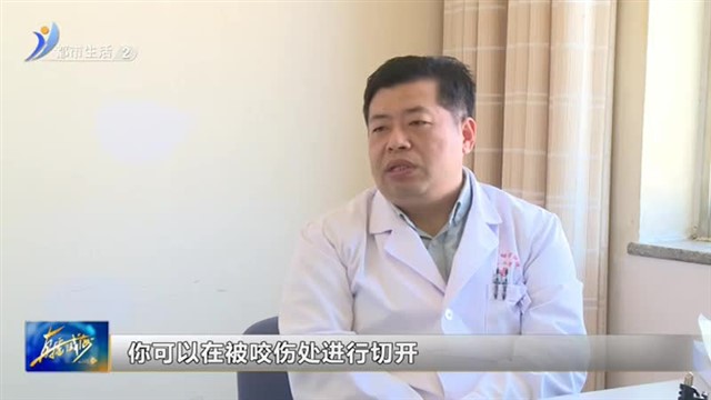 踏春郊游正当时 这份“救命”宝典快收藏！【威海广电讯】