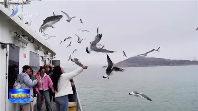 海驴岛环岛游项目迎来今年首航【威海广电讯】