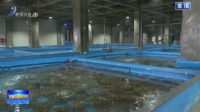 进取之年.帝王蟹“鲜”向全国【威海广电讯】