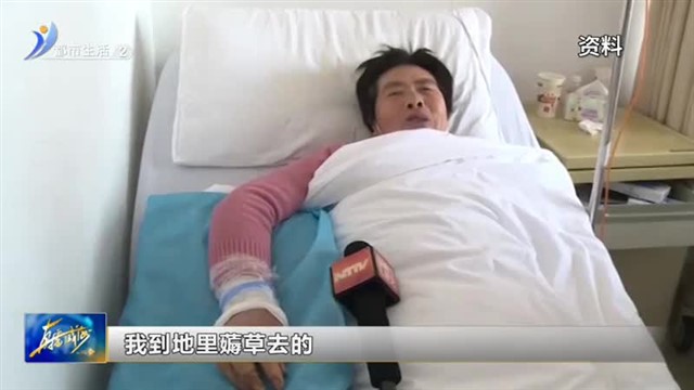 天气转暖蛇虫出没 差点送了命 【威海广电讯】