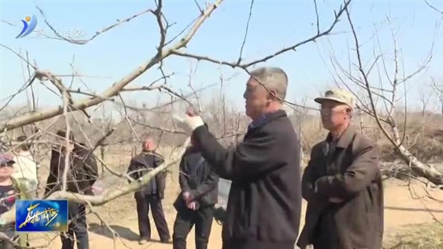 农技服务送下乡 田间地头“开良方”【威海广电讯】