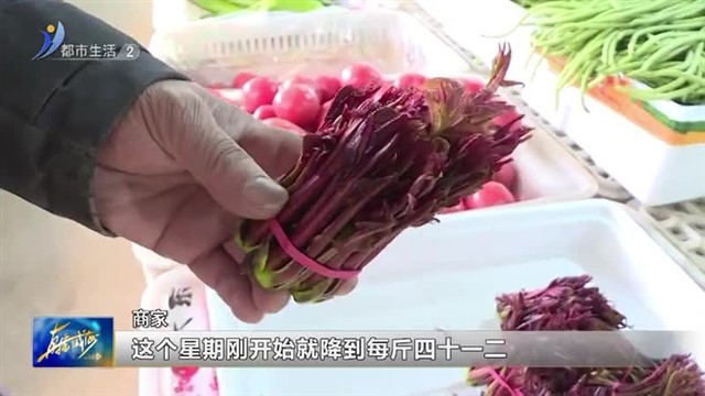 春菜大量上市 春鲜离不开它们！【威海广电讯】