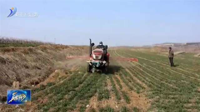 荣成市埠柳镇：春耕春管进行时 不误农时不误春【威海广电讯】
