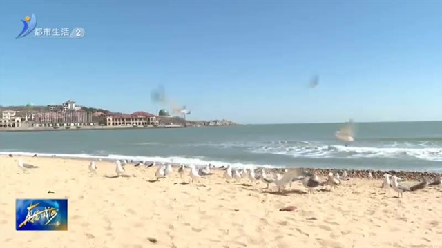 来海边 赴一场与春天的约会！【威海广电讯】