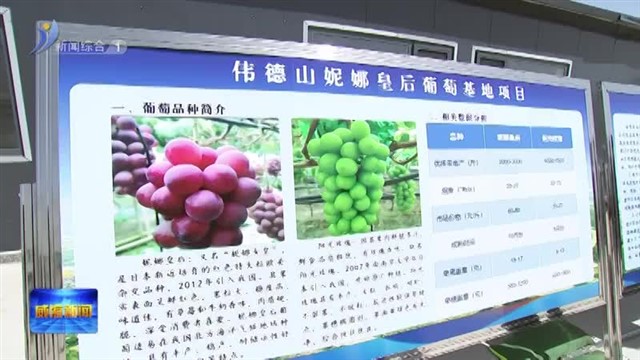 闫剑波调研春季农业生产和乡村振兴工作【威海广电讯】