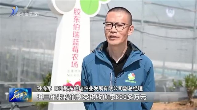 税宣助力“小蓝莓”变身“致富果”【威海广电讯】