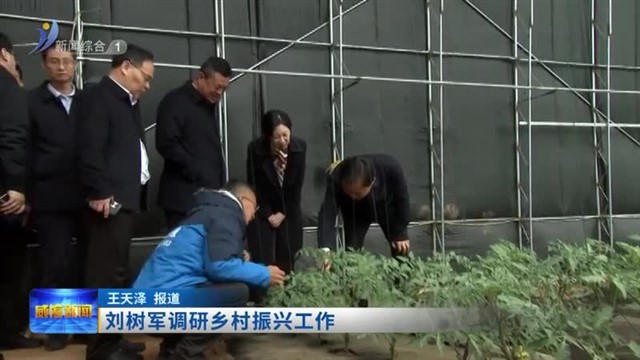 刘树军调研乡村振兴工作【威海广电讯】
