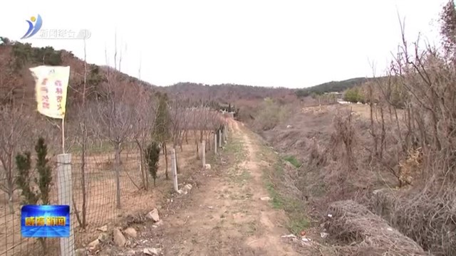 闫剑波实地检查森林防灭火工作【威海广电讯】