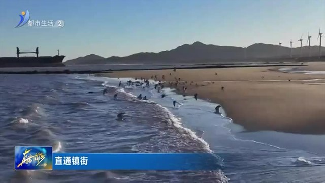 荣成市成山镇：全力备战旅游旺季 助推民宿产业蓬勃发展【威海广电讯】