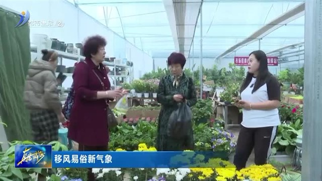 清明文明祭祀 花店菊花正热销【威海广电讯】