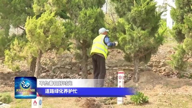 不负春日好时光 道路绿化养护