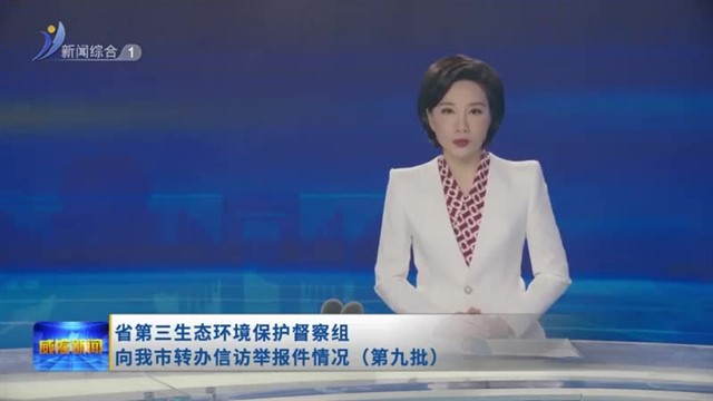 省第三生态环境保护督察组向我市转办信访举报件情况（第九批）【威海广电讯】