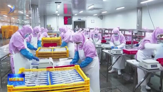 刘树军到文登区督导省级生态环境保护督察问题整改工作【威海广电讯】