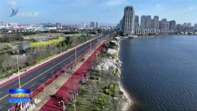 达因 2024荣成马拉松成功举办【威海广电讯】